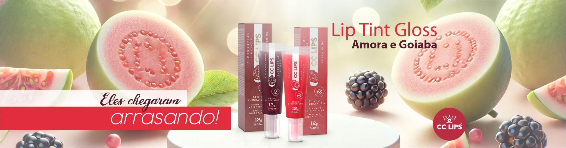 bannerlancamentosliptintgloss